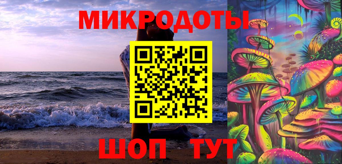 Петрозаводск  Галлюциногенные грибы Psilocybe  как найти наркотики  Вход с VPN  Галлюциногенные грибы прущие грибы 