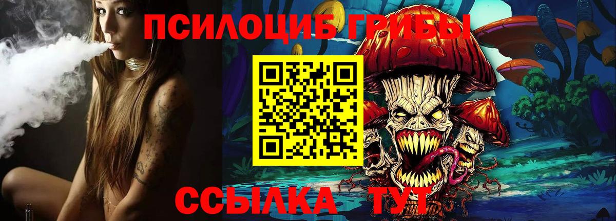 Галлюциногенные грибы Cubensis Петрозаводск